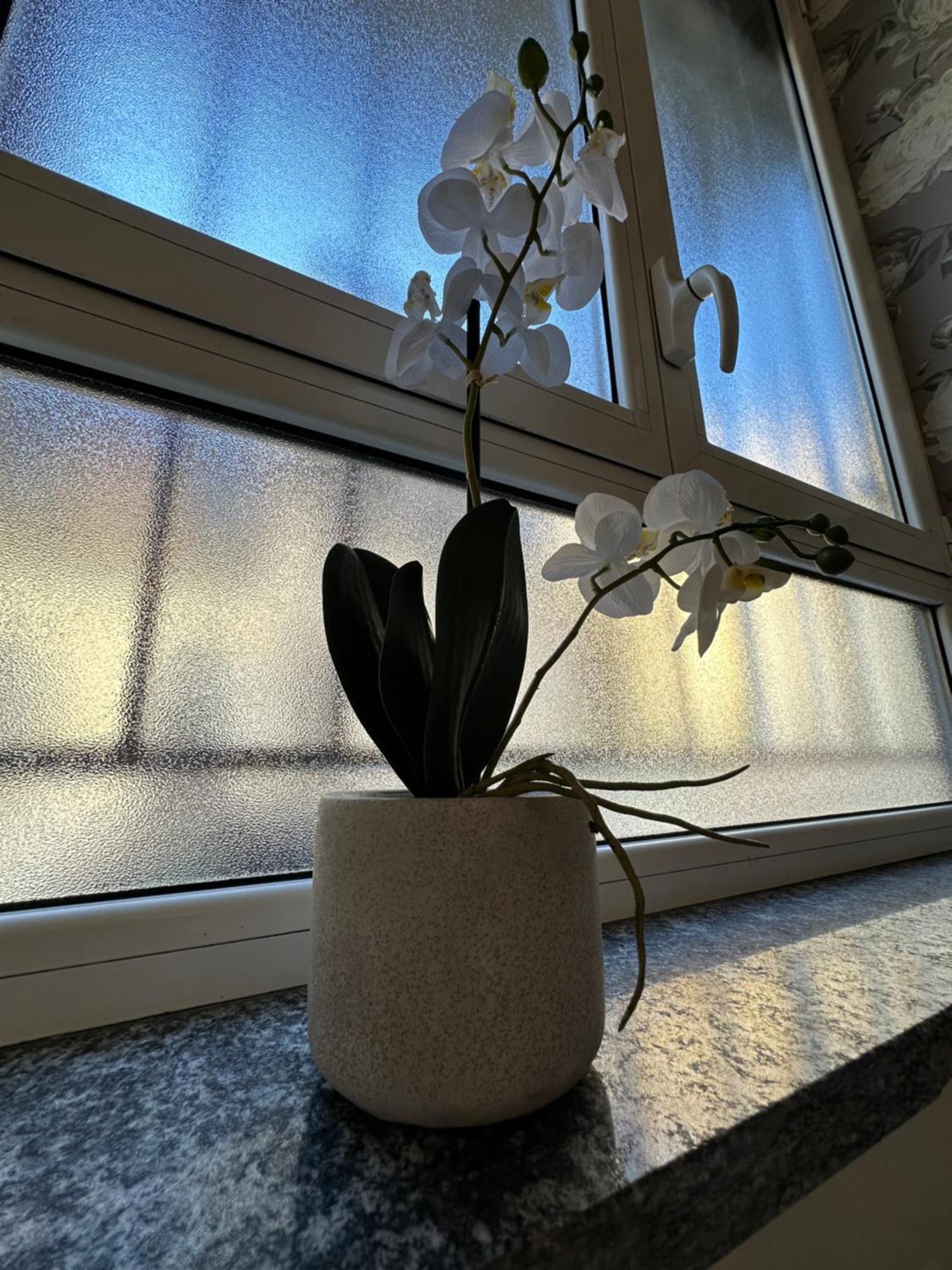 Flowers, A Cozy Suite In Milán Exteriér fotografie